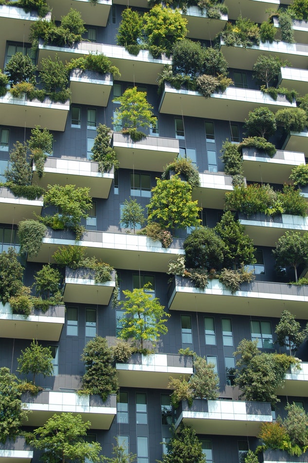 Des végétaux sur une façade à Milan (Italy)