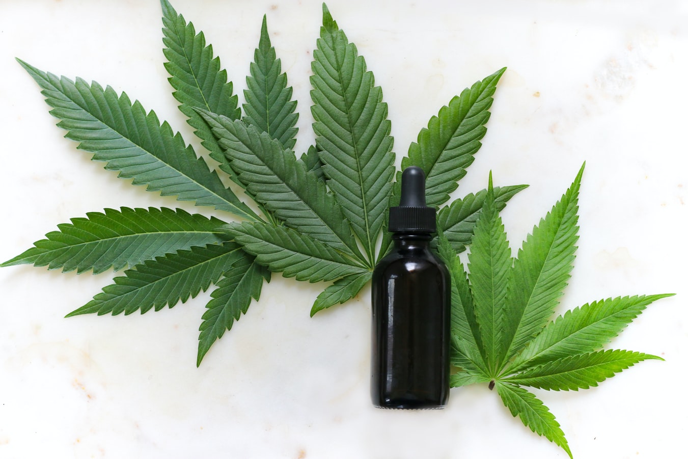 Selon une récente étude du Medical College of Georgia (MCG) de l’Augusta University, le cannabis pourrait considérablement réduire les lésions pulmonaires causées par la Covid-19.